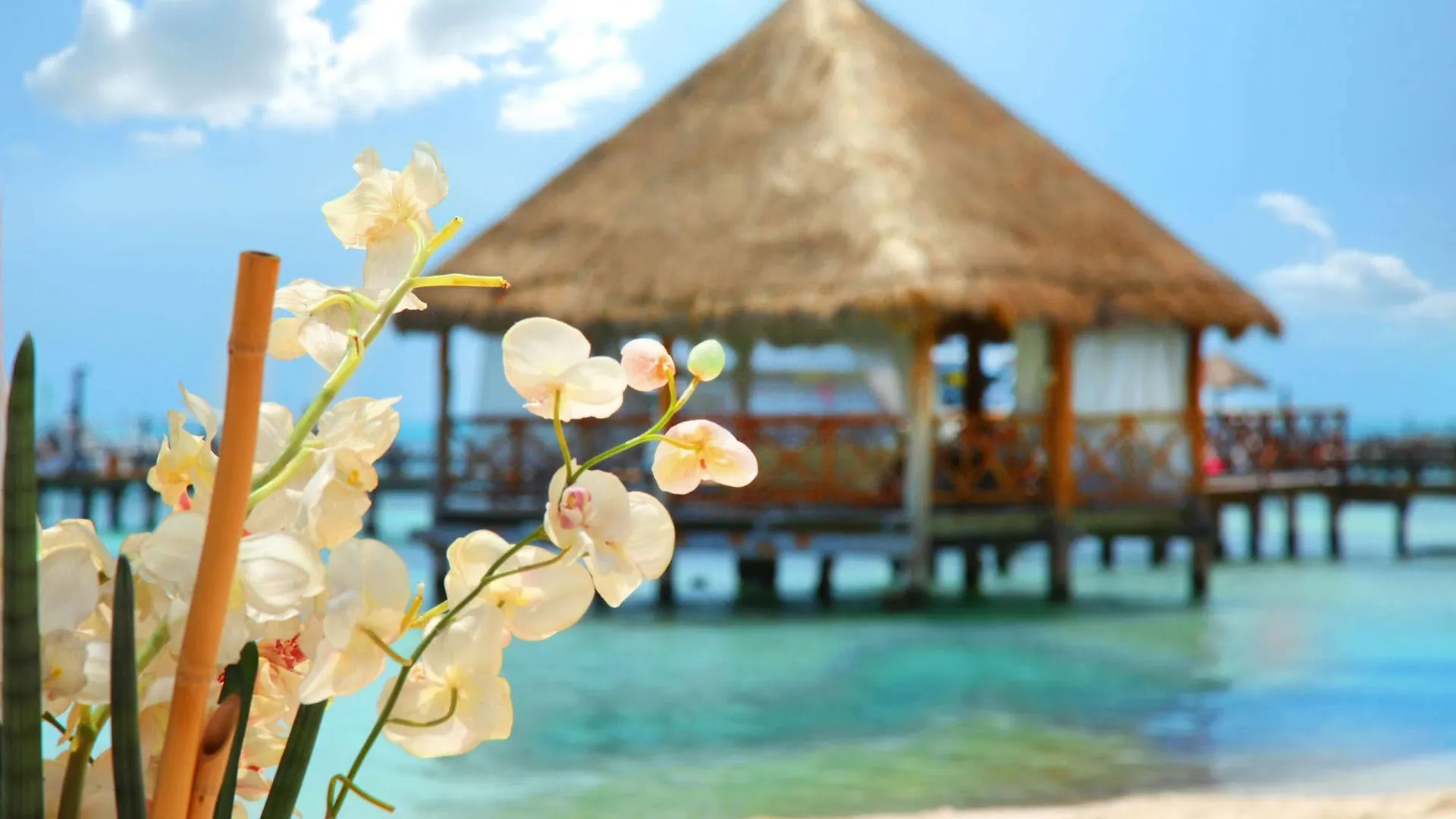 Almare, A Luxury Collection Resort, Isla Mujeres, Adult All-Inclusive 5*,  Mexico